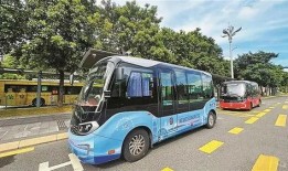 今日一线爆料湛江公交车,今日一线独家揭秘